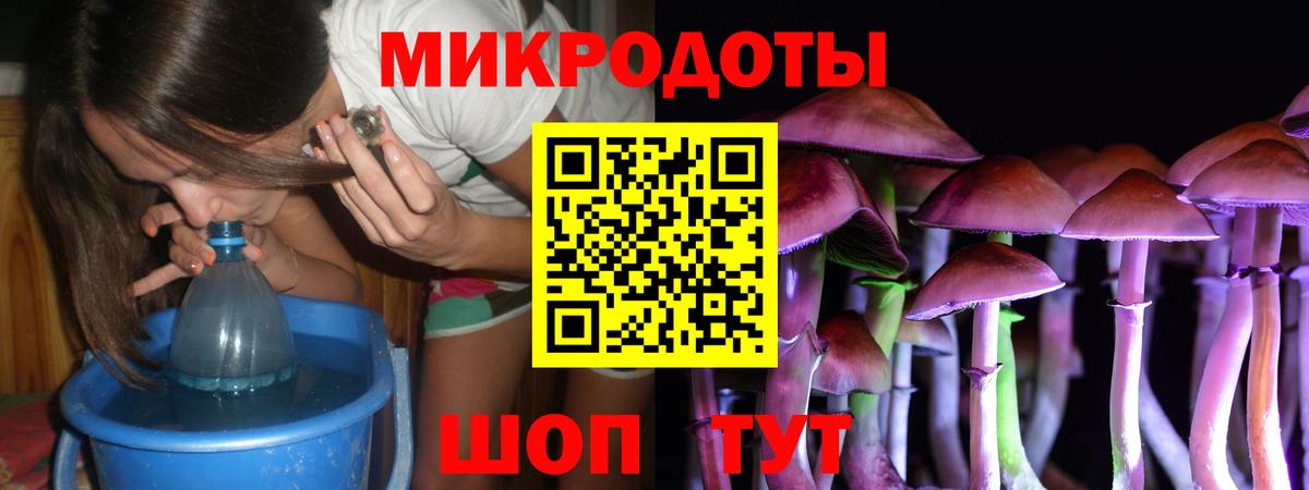 Псилоцибиновые грибы Майский